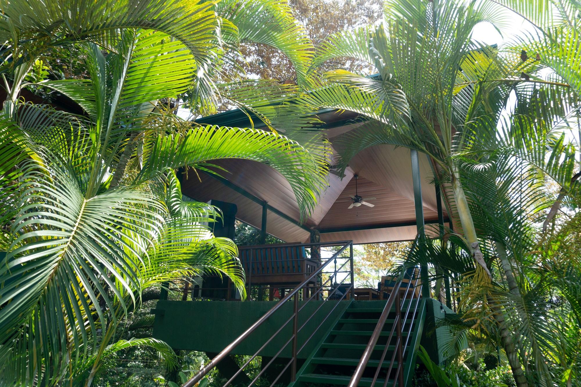 Comodidades del Alojamiento Arbol Verde Villas