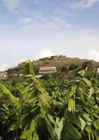 Alojamiento - Vila Marta