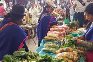 Actividad - Etno Tour al Mercado de Silvia y Etnia Misak desde Popayan