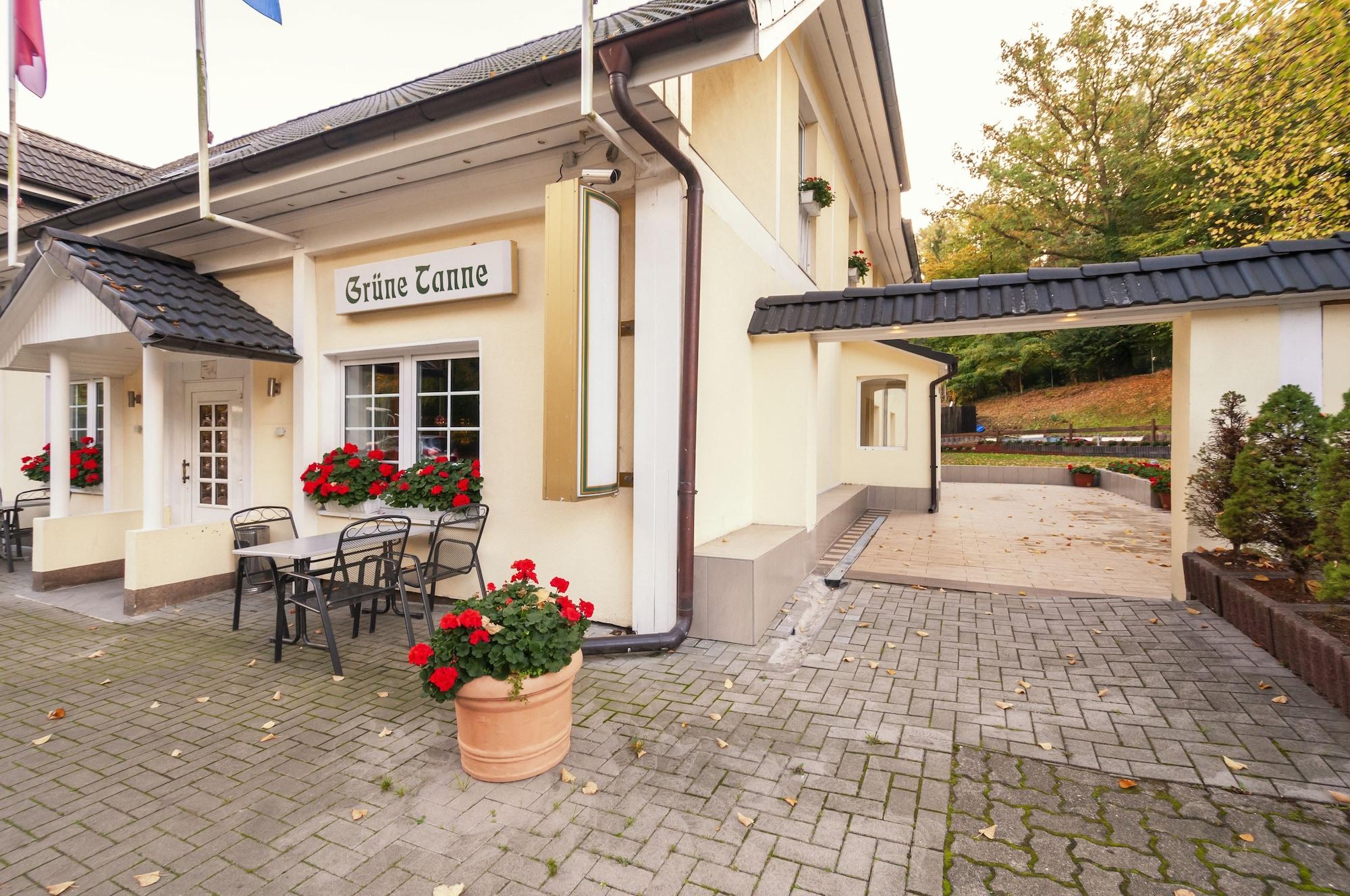 Vista Exterior Hotel Grüne Tanne