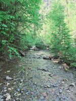 Alquiler Vacacional - Private Cabin on Beautiful River! Enjoy the popular Paiute ATV Trail.