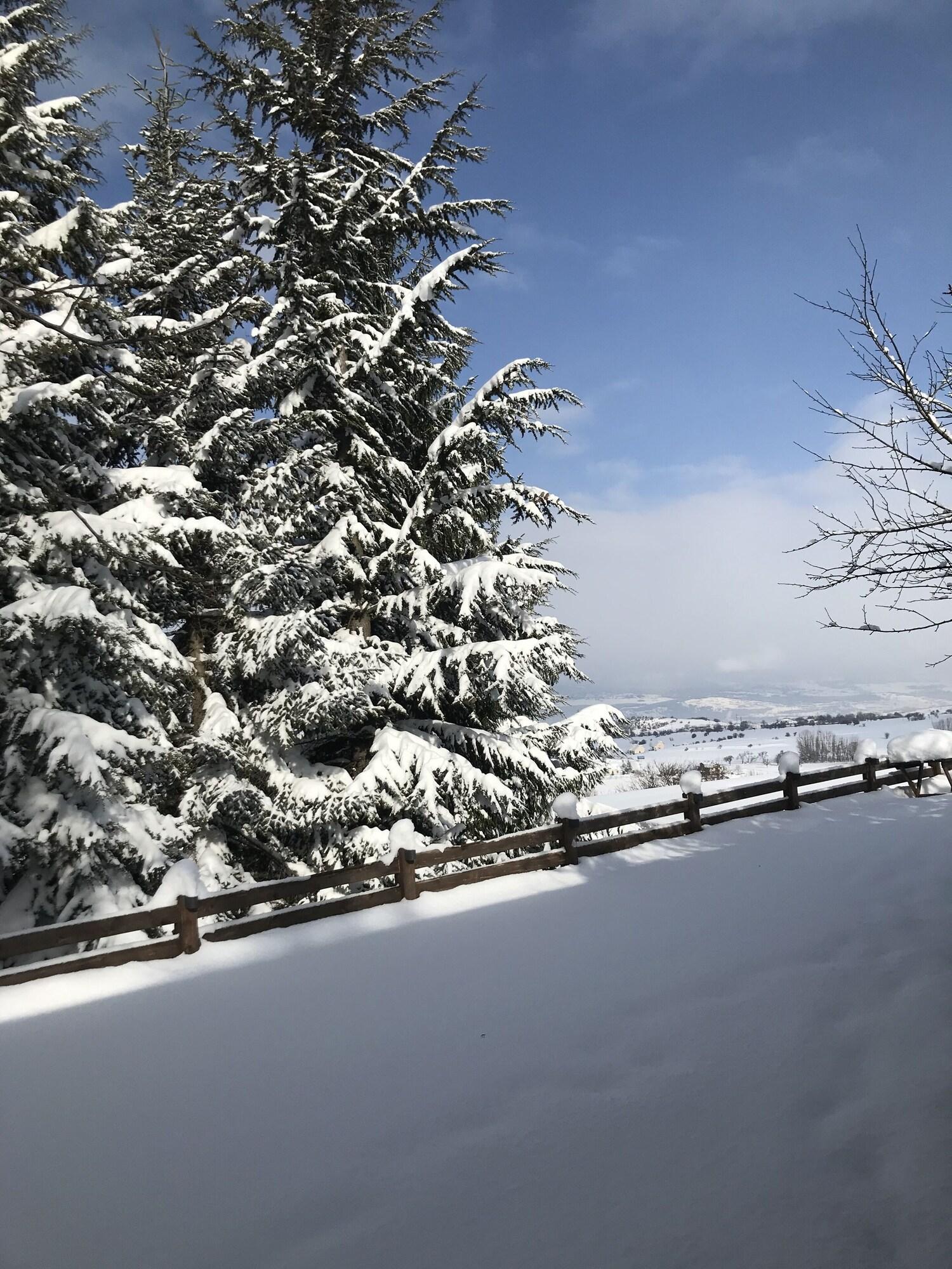 Vista Exterior Villa Neva Hotel