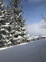 Alojamiento - Villa Neva Hotel