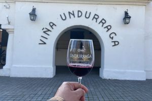 Actividad - Tour Viñedo Undurraga (Salida Desde Hotel)
