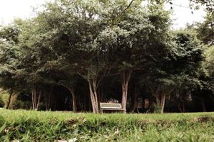 Alojamiento - Hotel Bosques Del Sol Suites