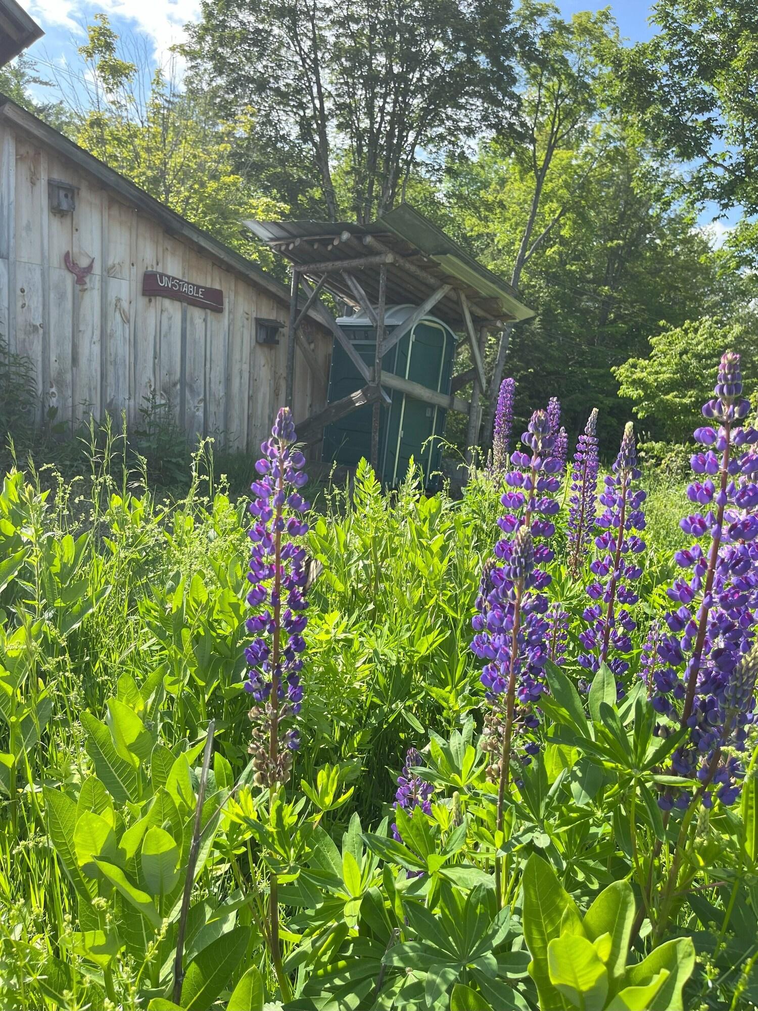 Comodidades del Alojamiento Streeter Mountain Farm