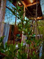 Alquiler Vacacional - LOS TEMOS - LE PETIT CHALET