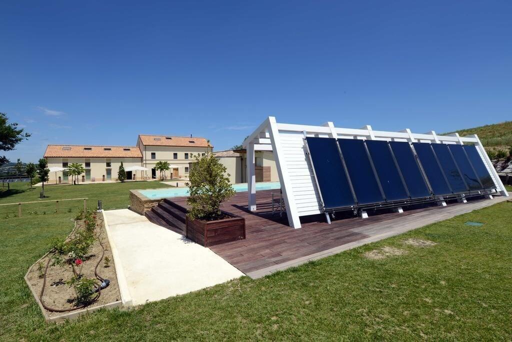 Varios Il Gallo Senone