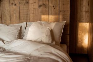 Alquiler Vacacional - Holiday Home in Haarle Near Sallandse Heuvelrug