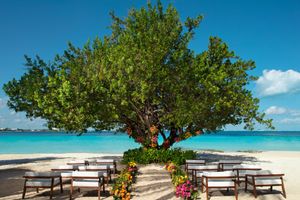 Alojamiento - Dreams Sands Cancún Resort & Spa