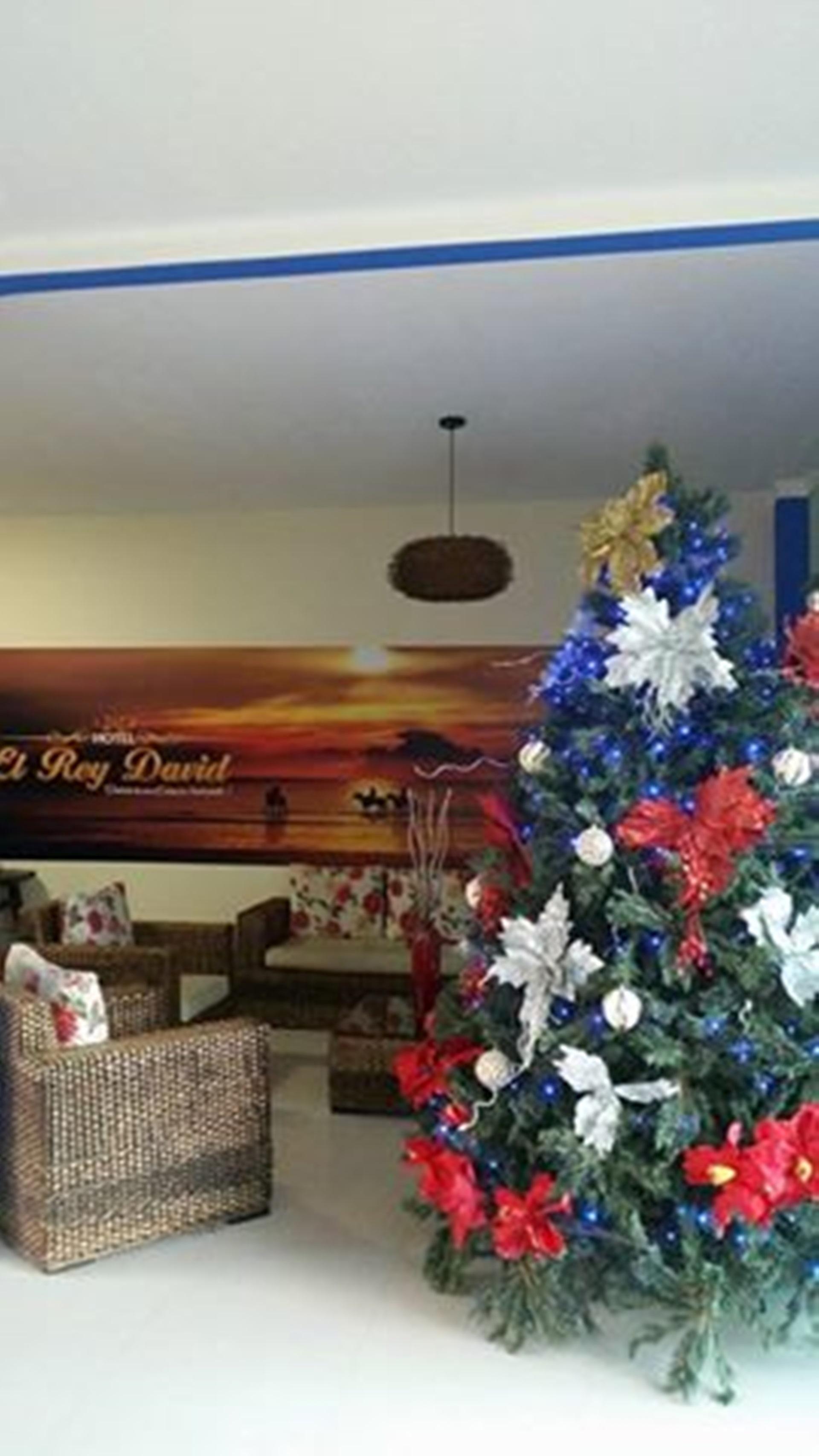 Vista Lobby Hotel Rey David Ap