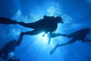 Actividad - Bautismo de buceo en Barú