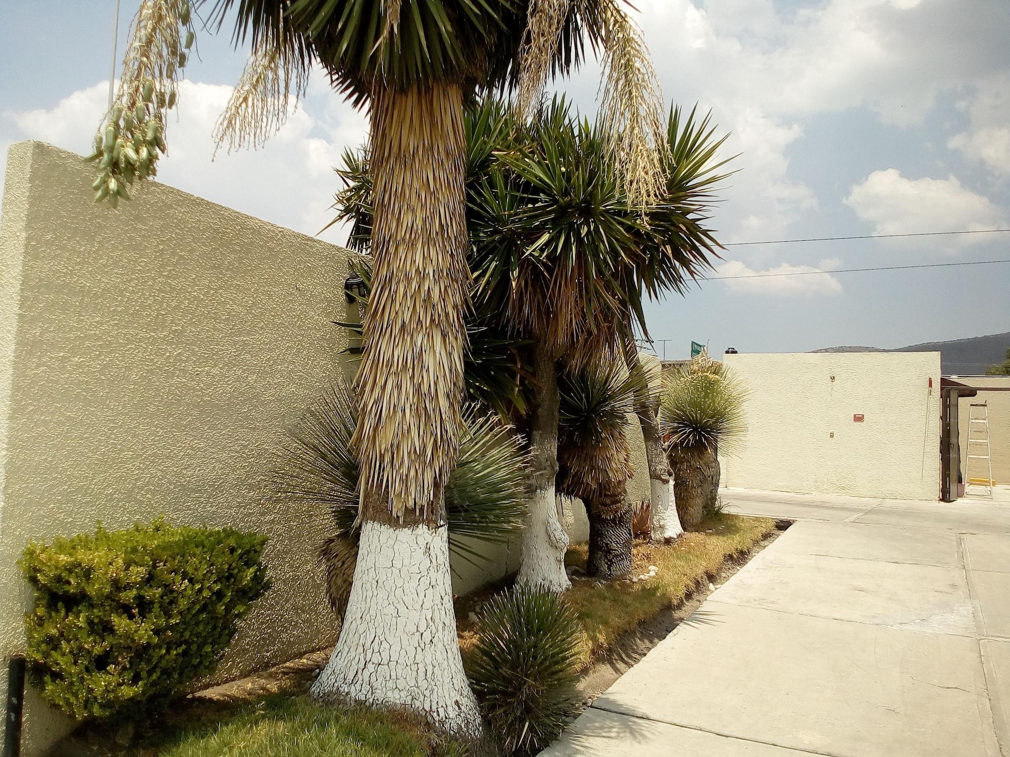 Comodidades del Alojamiento Lov Boutique Hotel Amaque