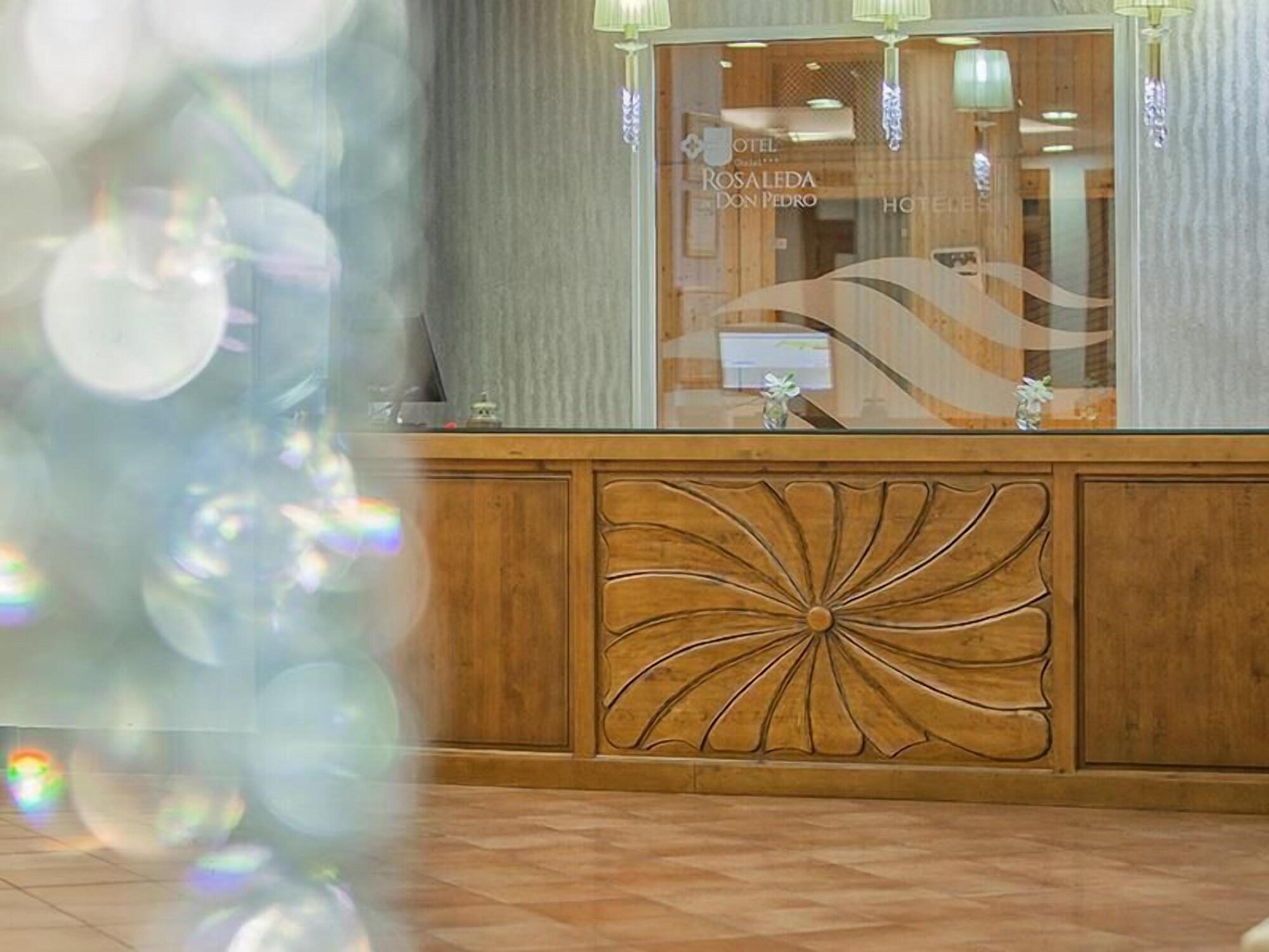 Vista Lobby Hotel Rosaleda de Don Pedro