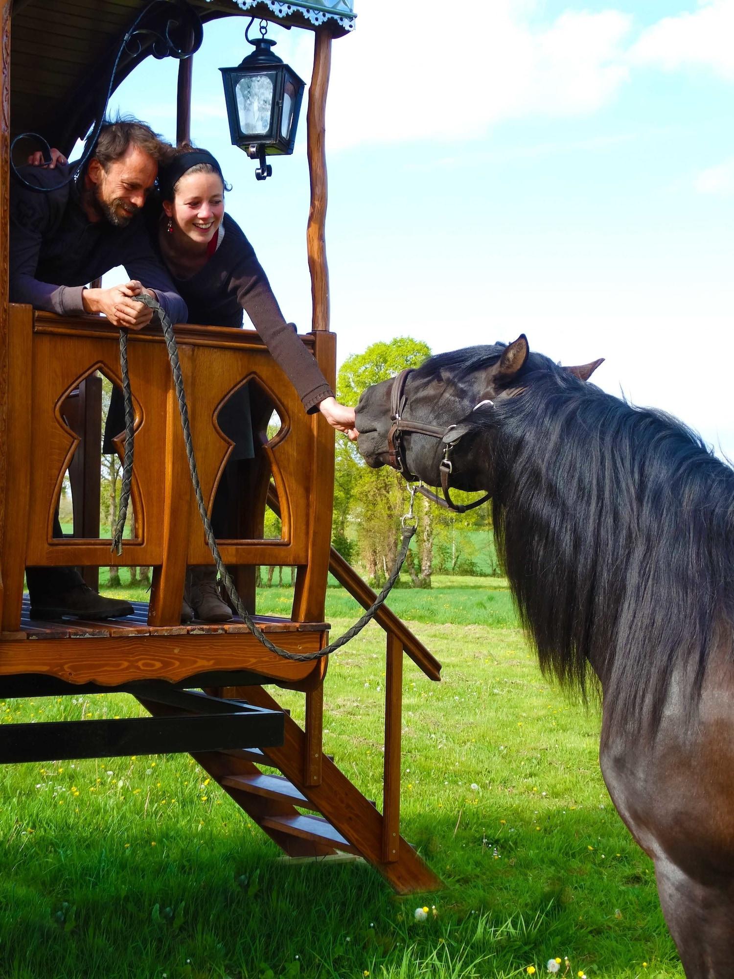 Varios Une roulotte et des chevaux