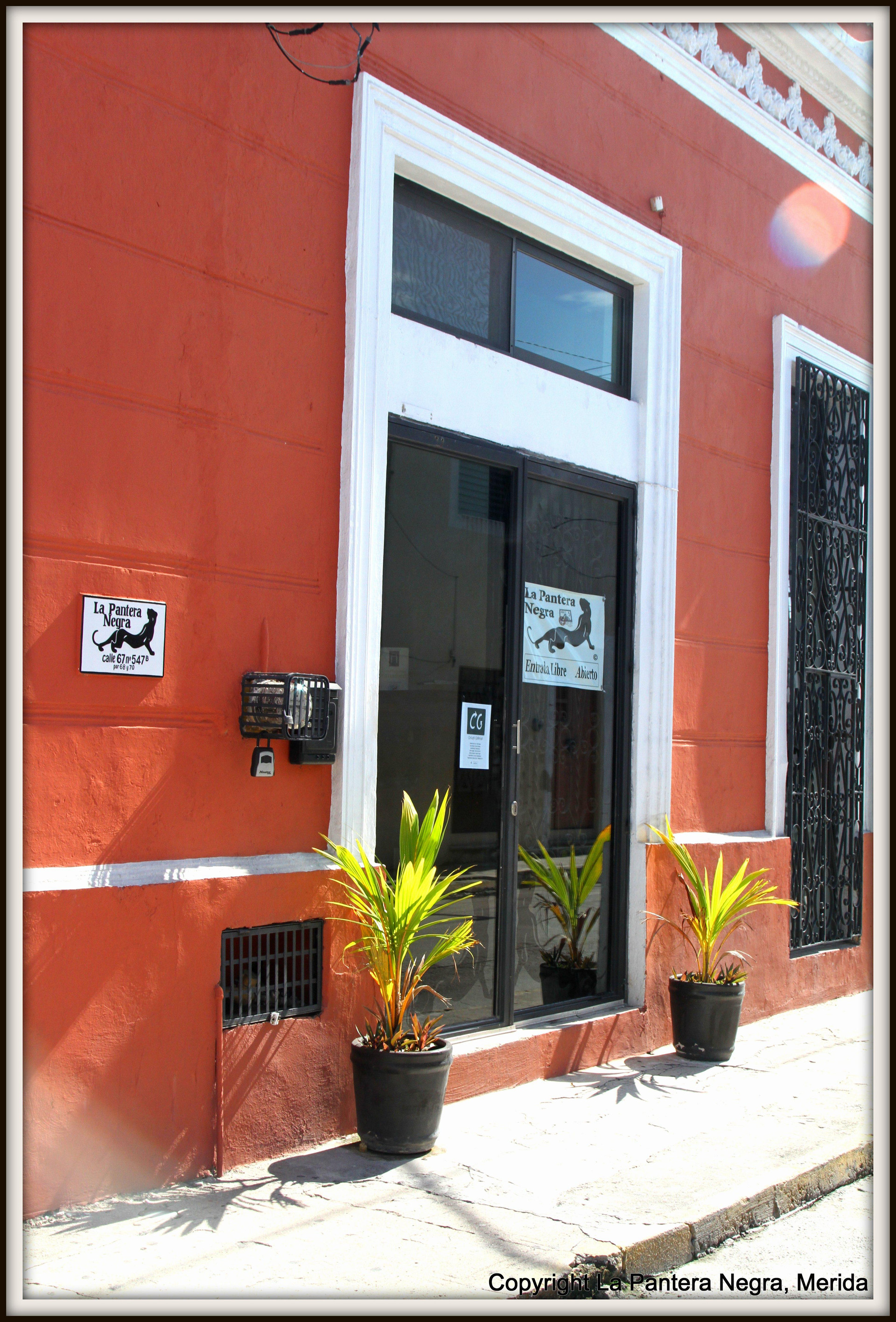 Vista Exterior La Pantera Negra