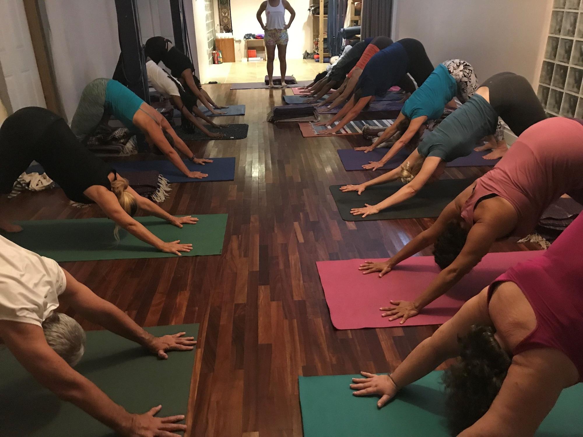 Gimnasio Harmony Marina Suites