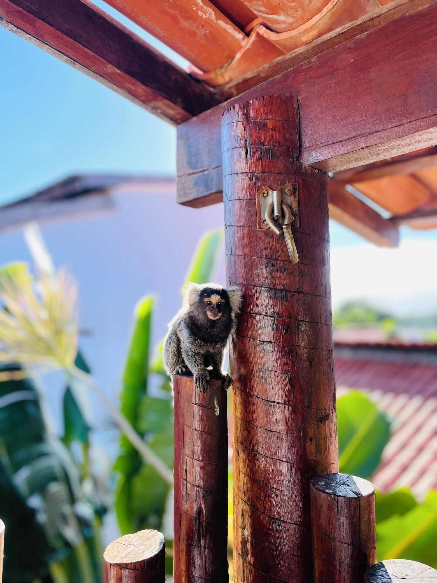 Vista Exterior Pousada Tartaruga