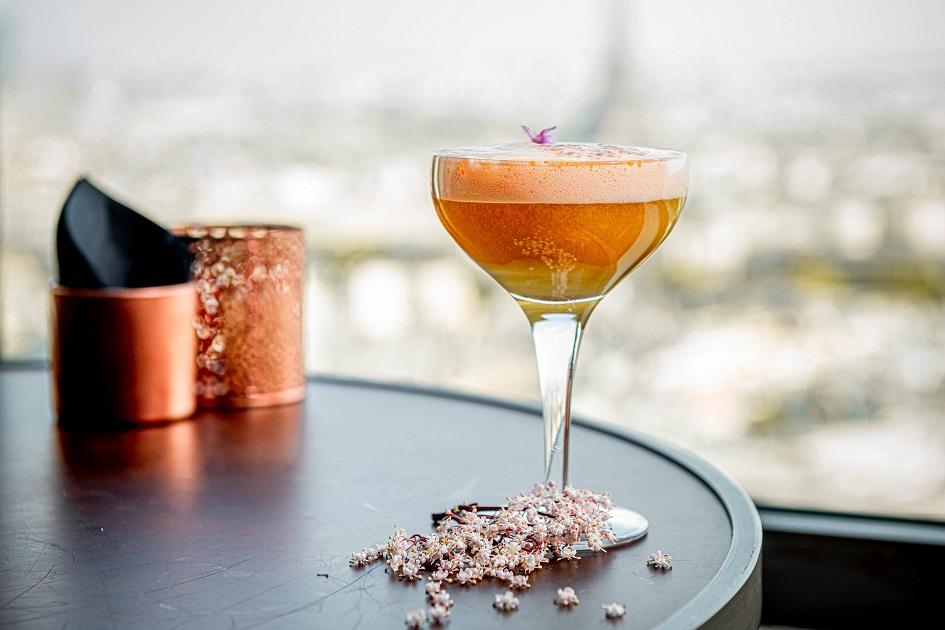 Bar/Salón Hyatt Regency Paris Etoile