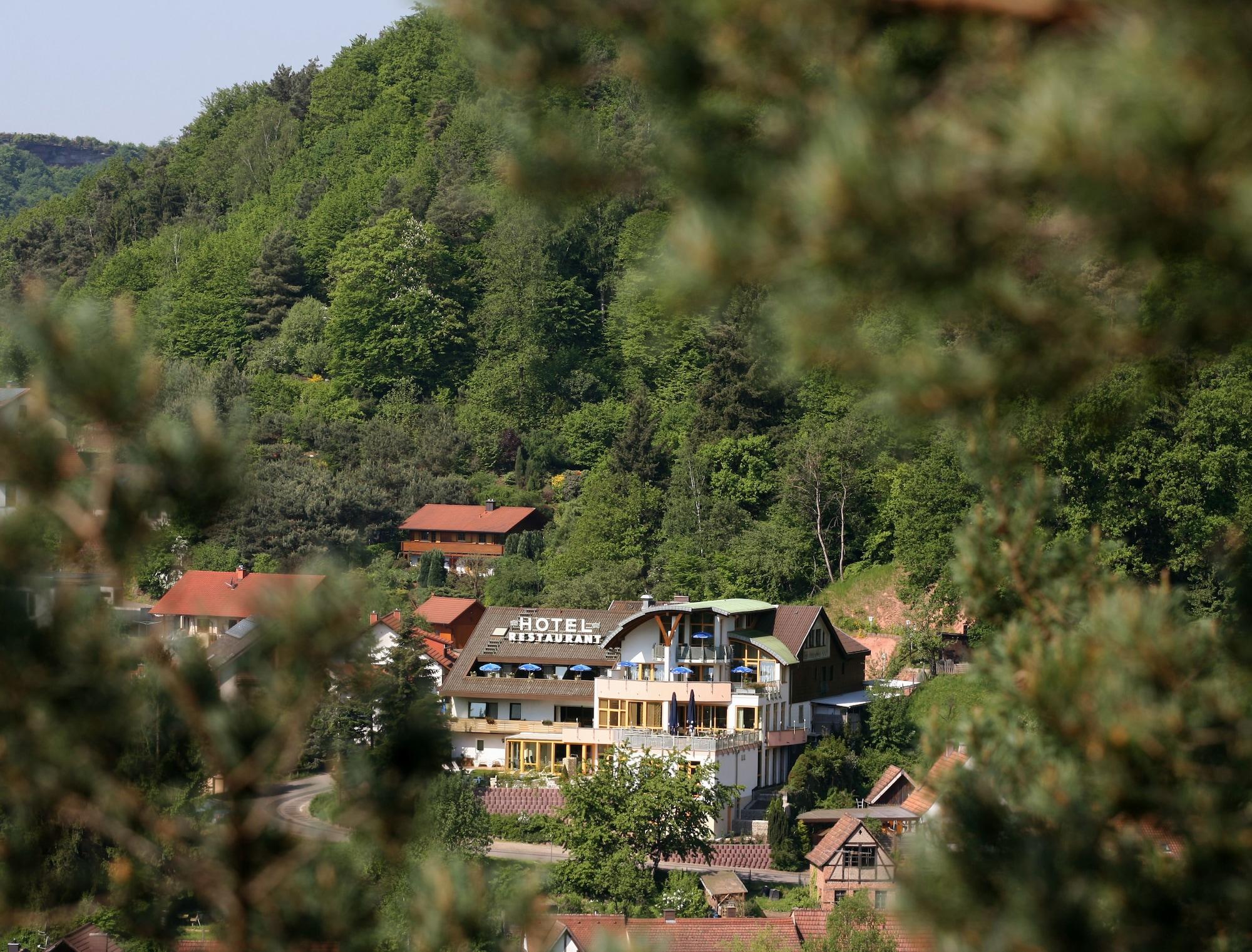 Vista Exterior Hotel Am Hirschhorn