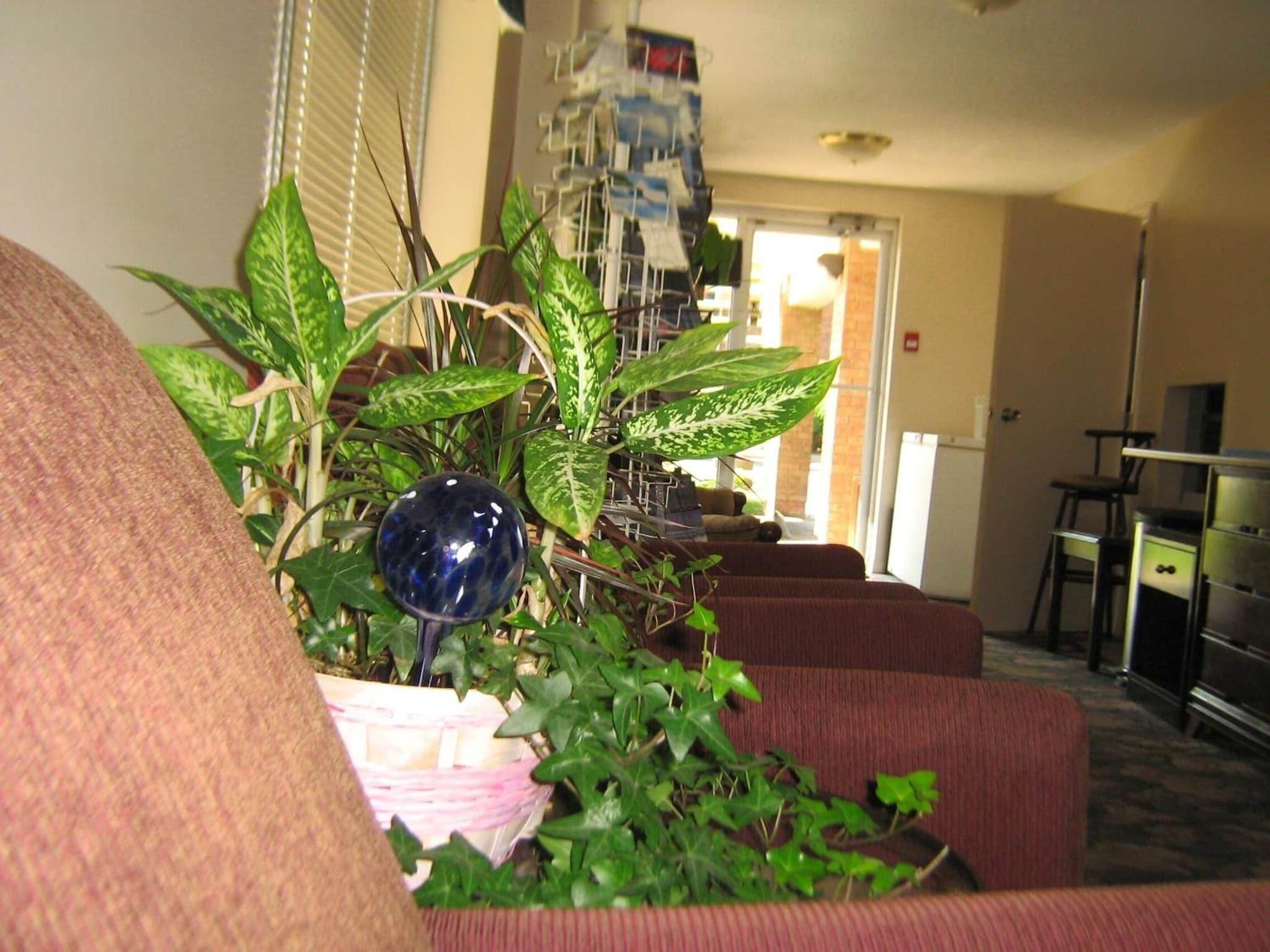 Restaurant Sunset Inn