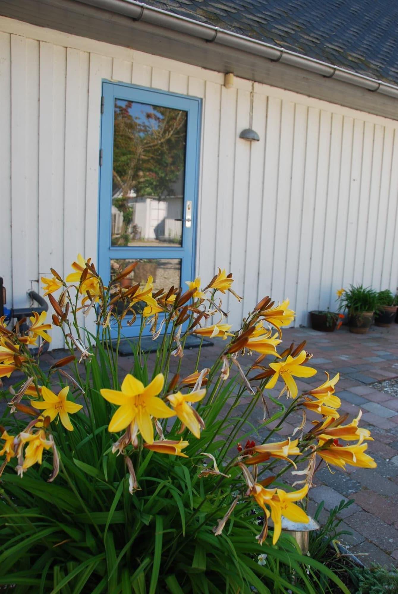Vista Exterior Quistgaarden Bed & Breakfast