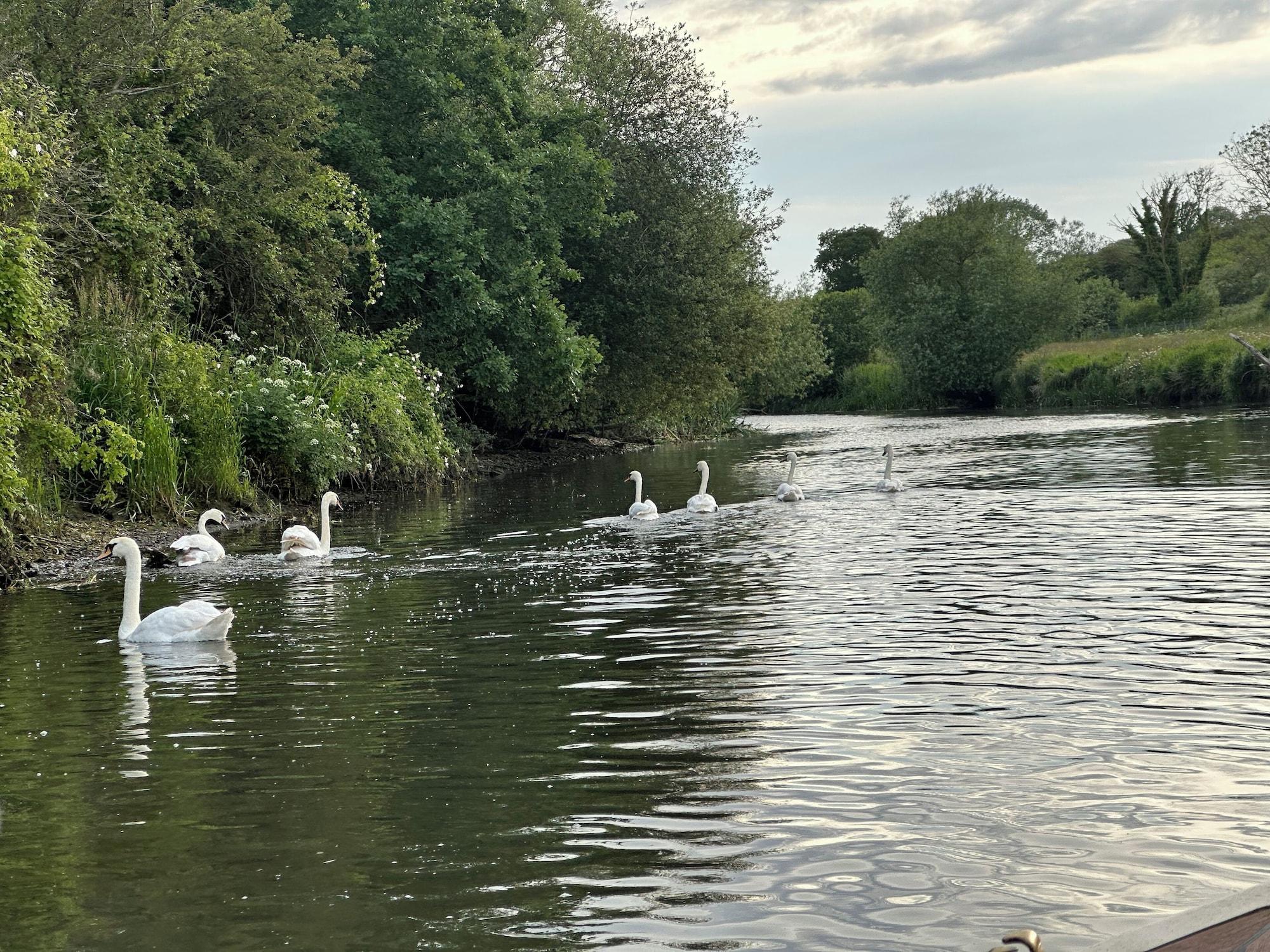 Varios Grove Ferry Inn