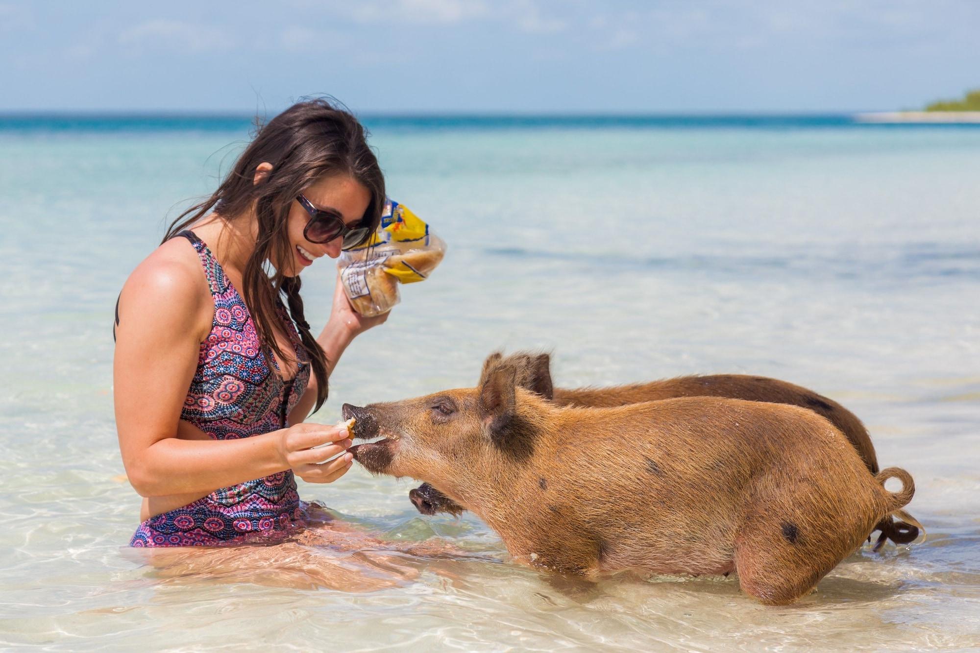 Playa Green Turtle Club Resort & Marina