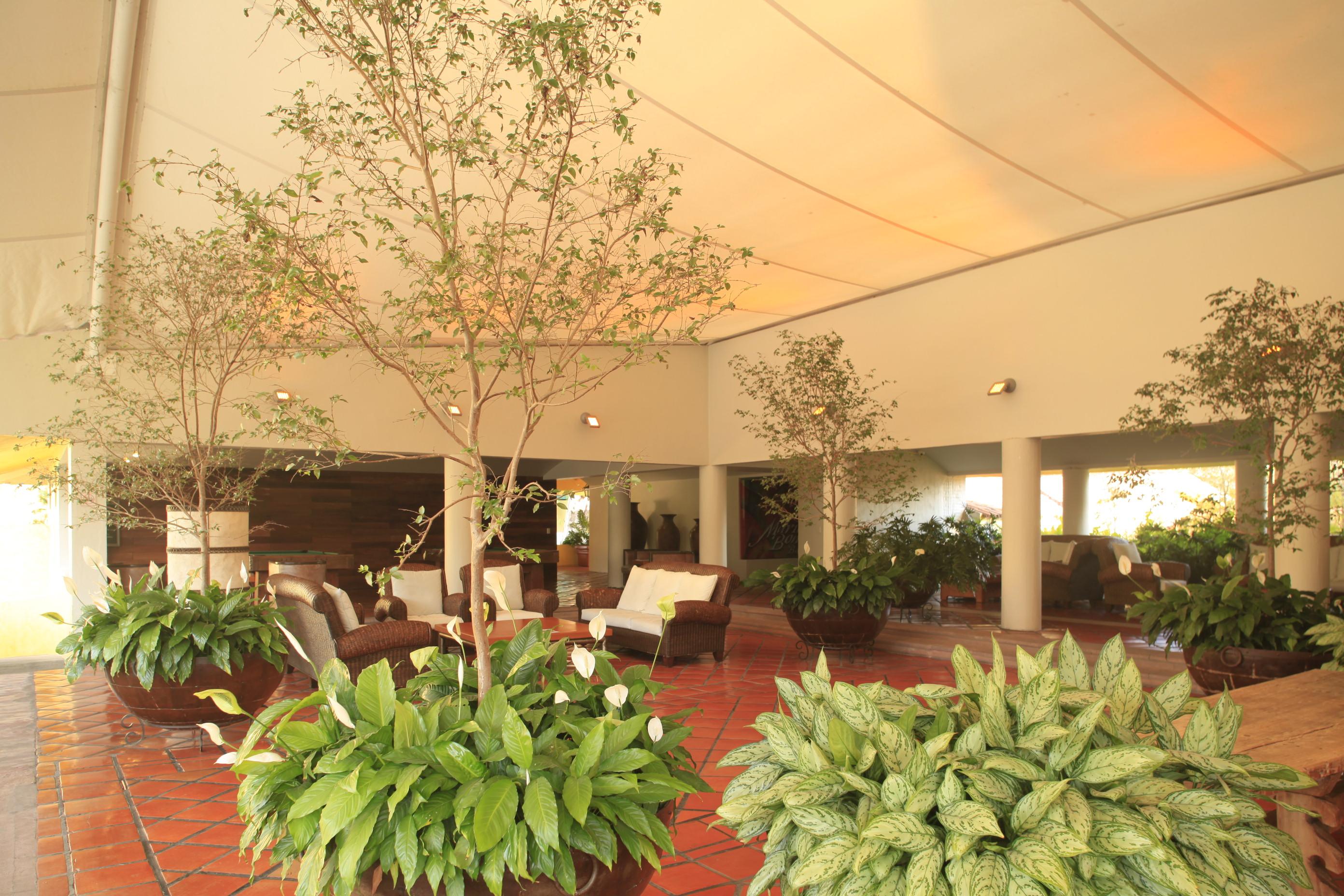 Vista Lobby Hotel Real de Chapala
