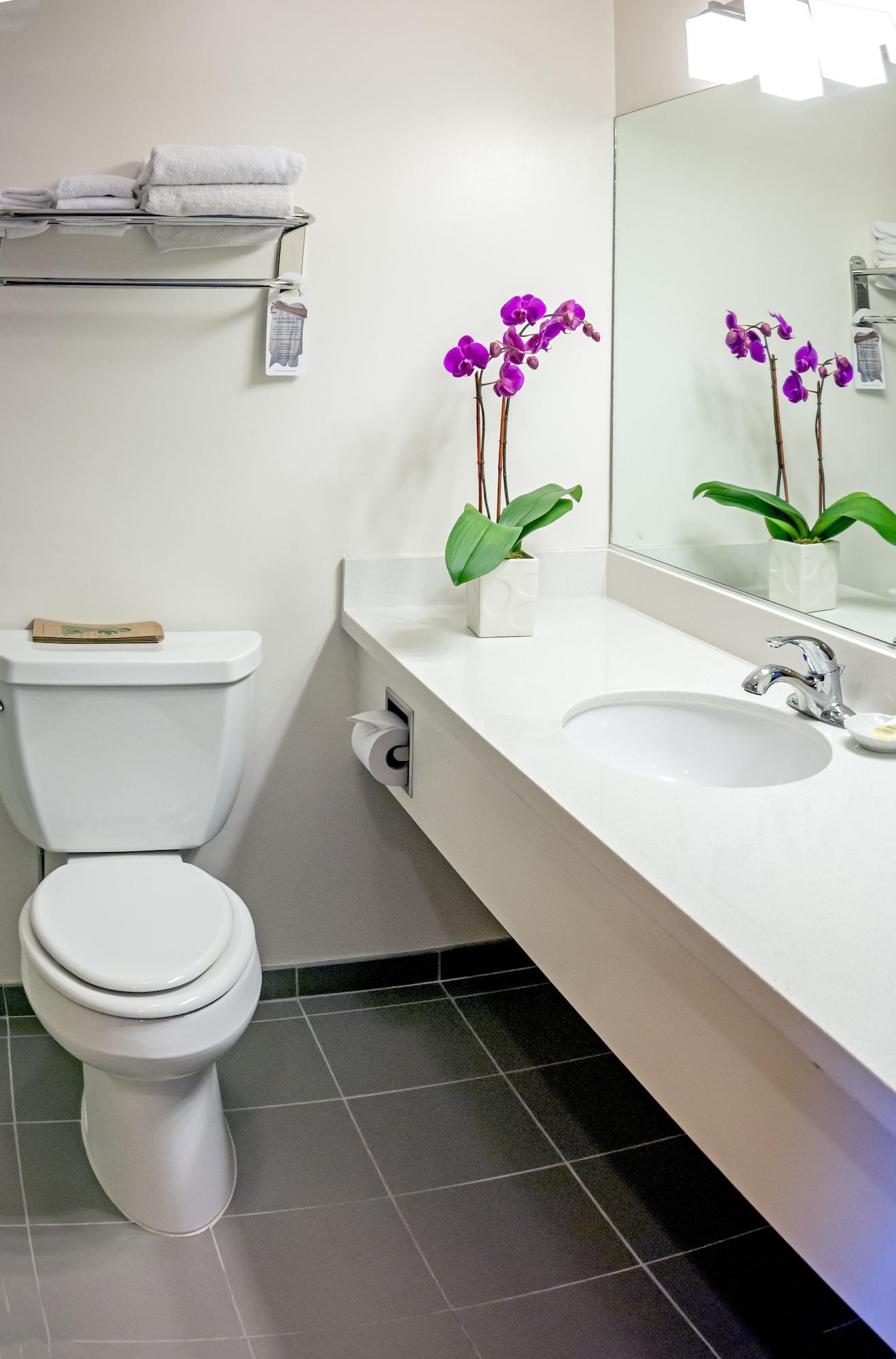 Equipamiento de Habitación Grant Plaza Hotel