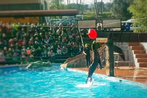 Actividad - Visita al Parque de la Naturaleza de Cabárceno