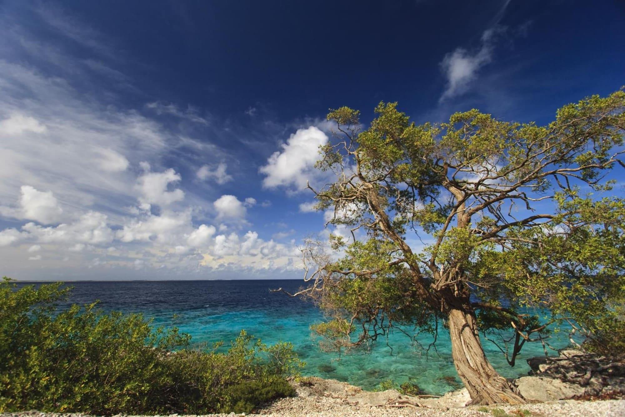 Playa The Lodge Bonaire