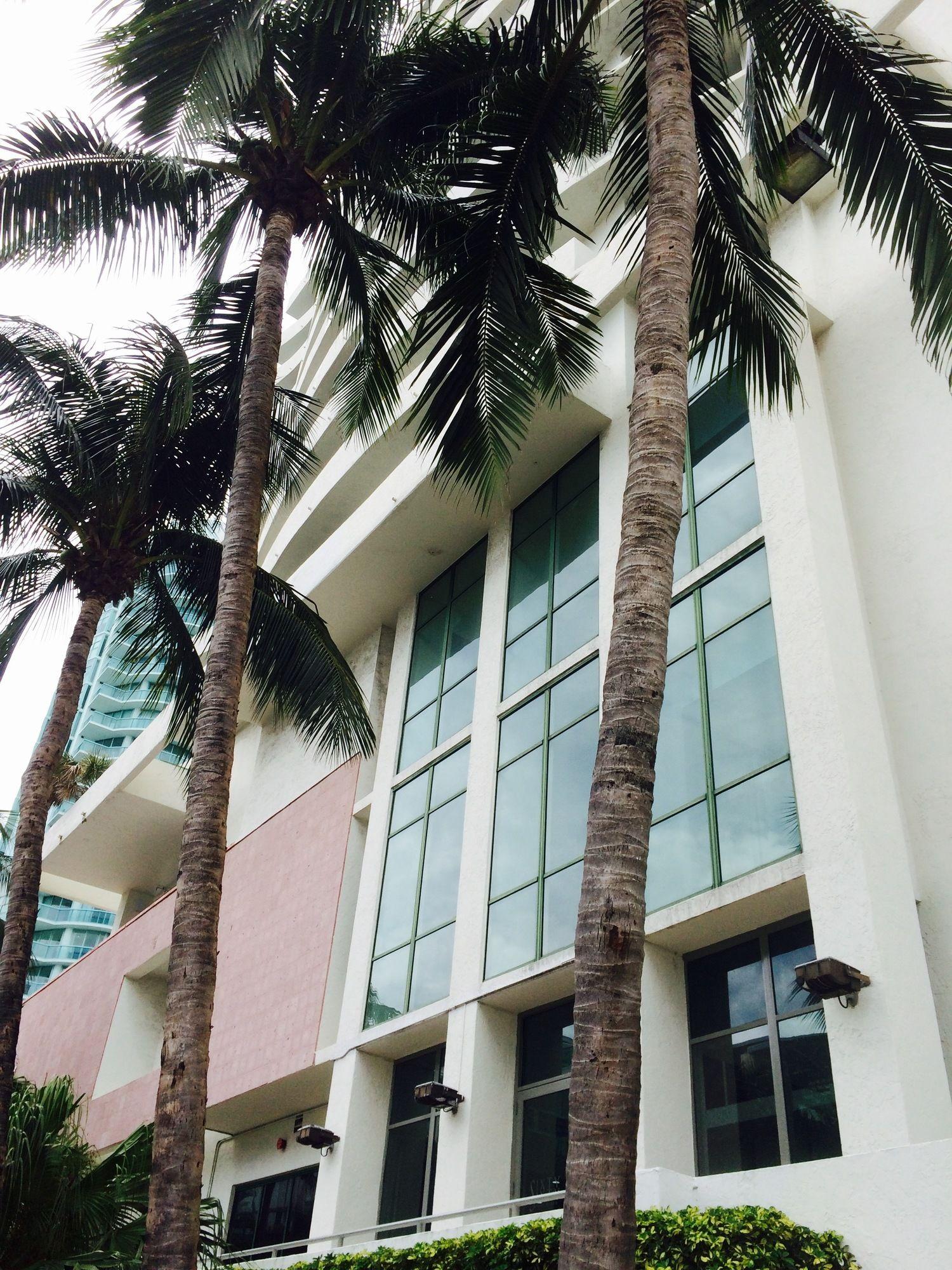 Vista Exterior Sixty Sixty Hotel : Miami Beach