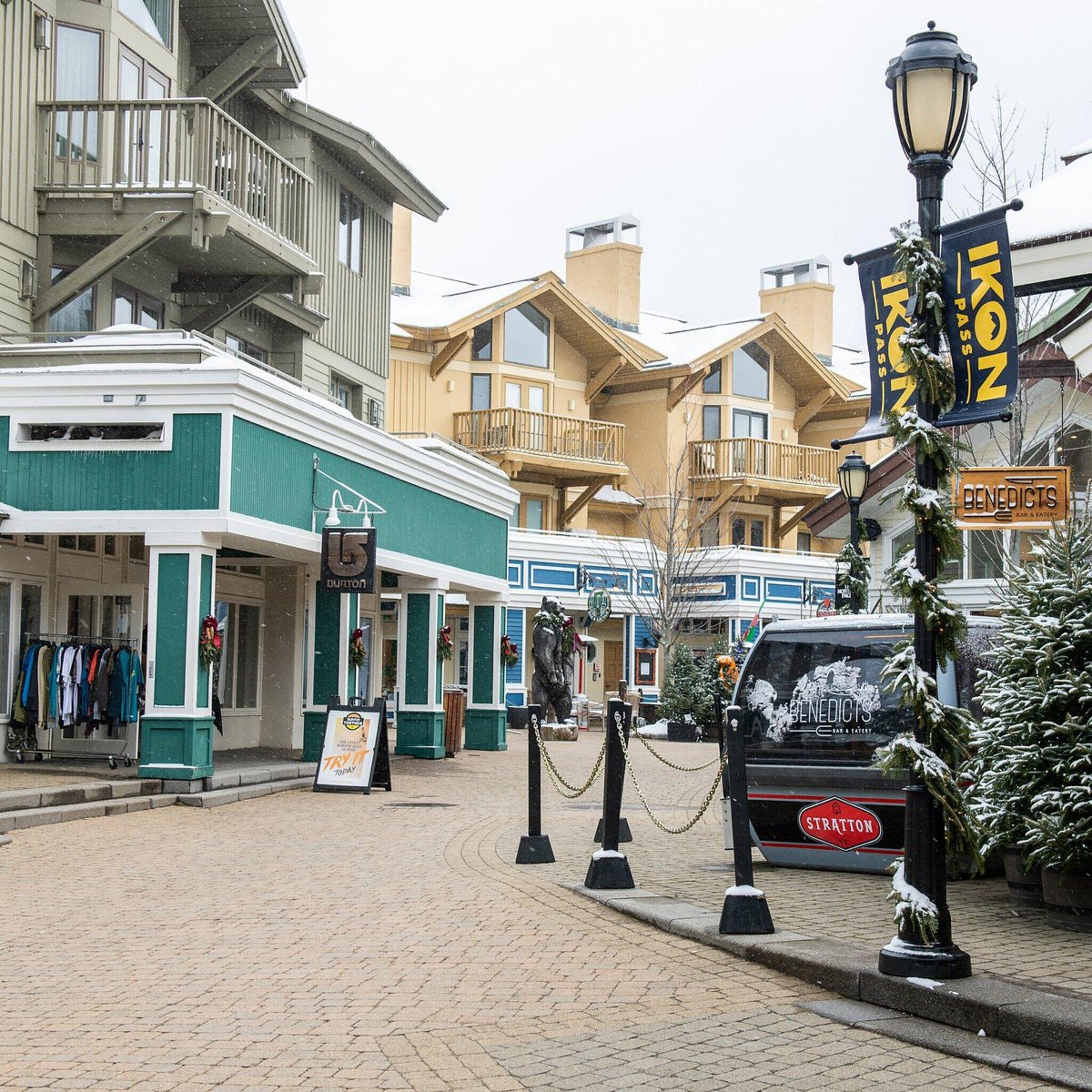 Vista Exterior The Black Bear Lodge at Stratton Mountain Resort
