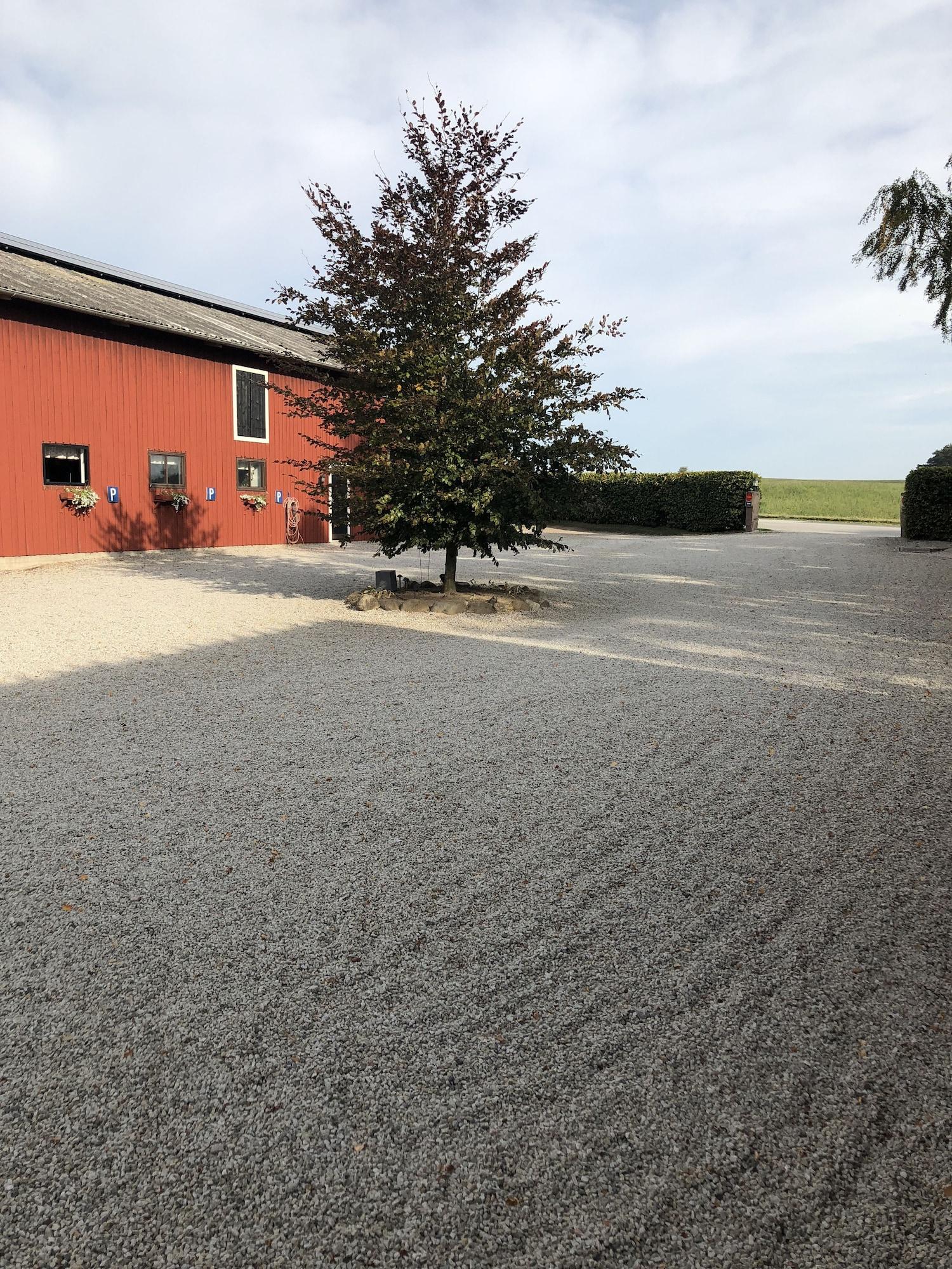 Comodidades del Alojamiento Sanddala Bed & Breakfast