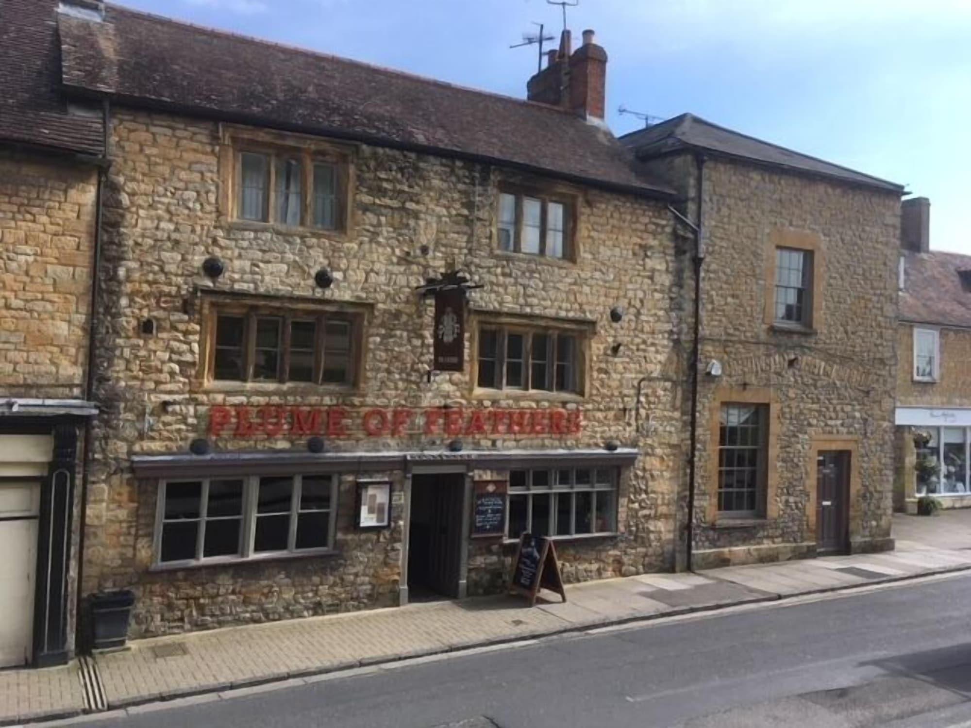 Varios The Plume of Feathers
