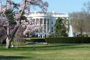 Actividad - Descubre lo mejor de DC en bus - Tour de medio día
