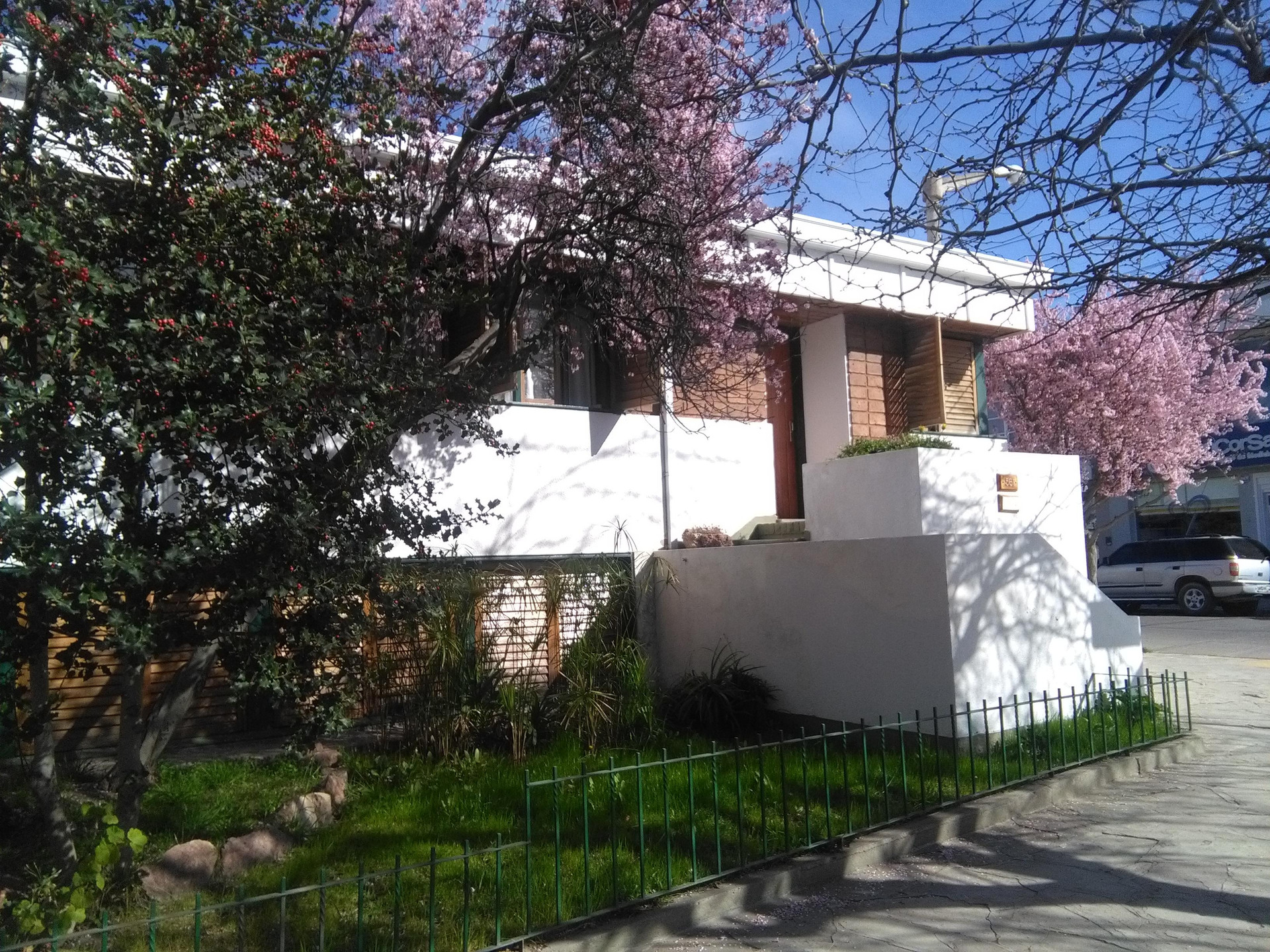 Vista Exterior Ciruelo en flor