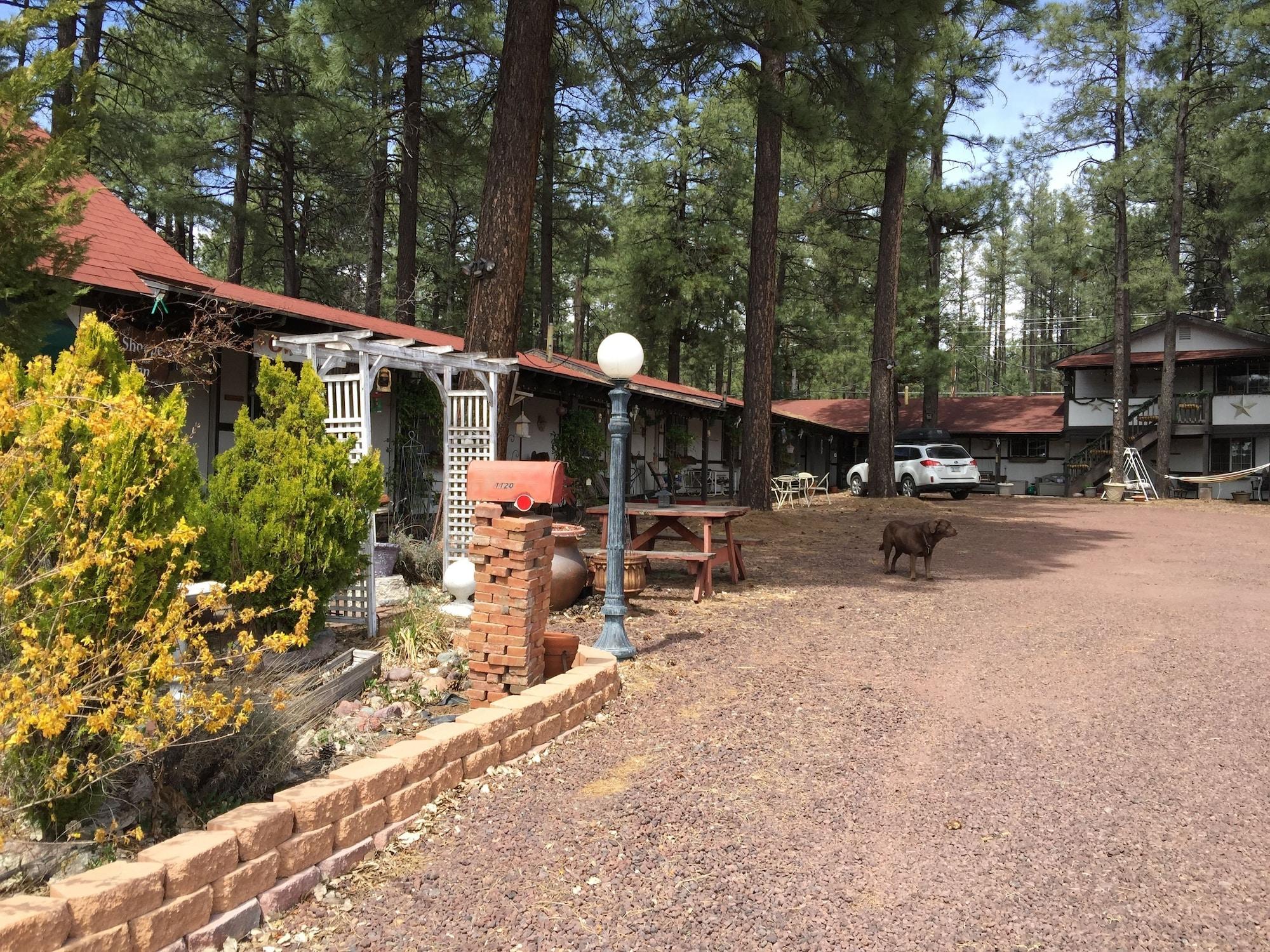 Comodidades del Alojamiento Mountain Haven Inn