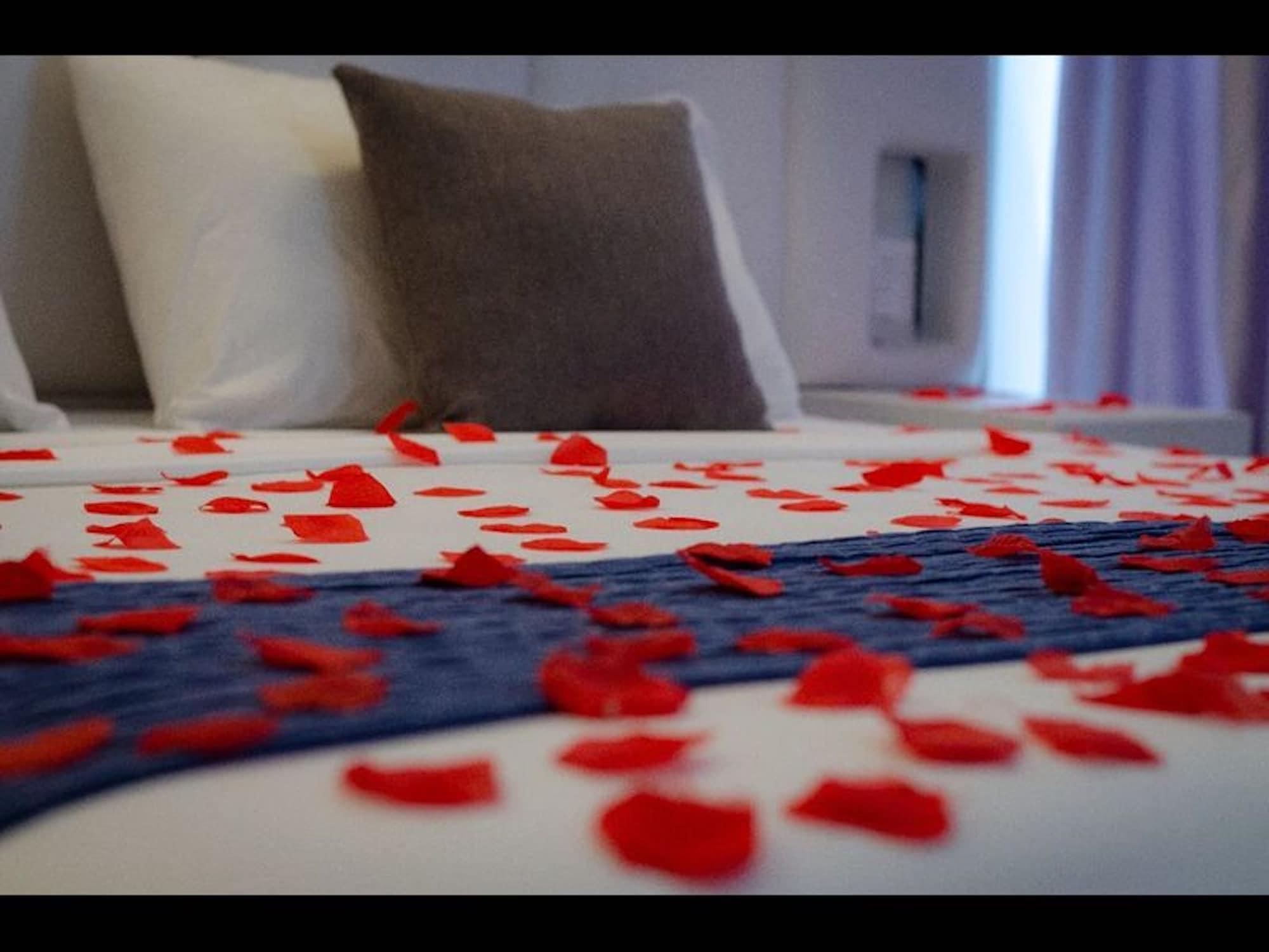 Varios Room-double Rooms San Andres Island in C