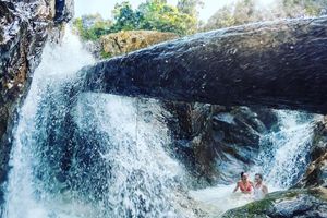 Actividad - Isla del Cerdo en Koh Samui - Pequeñas Bahamas