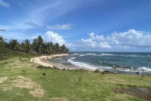 Alojamiento - Mama Lola Bed and Breakfast