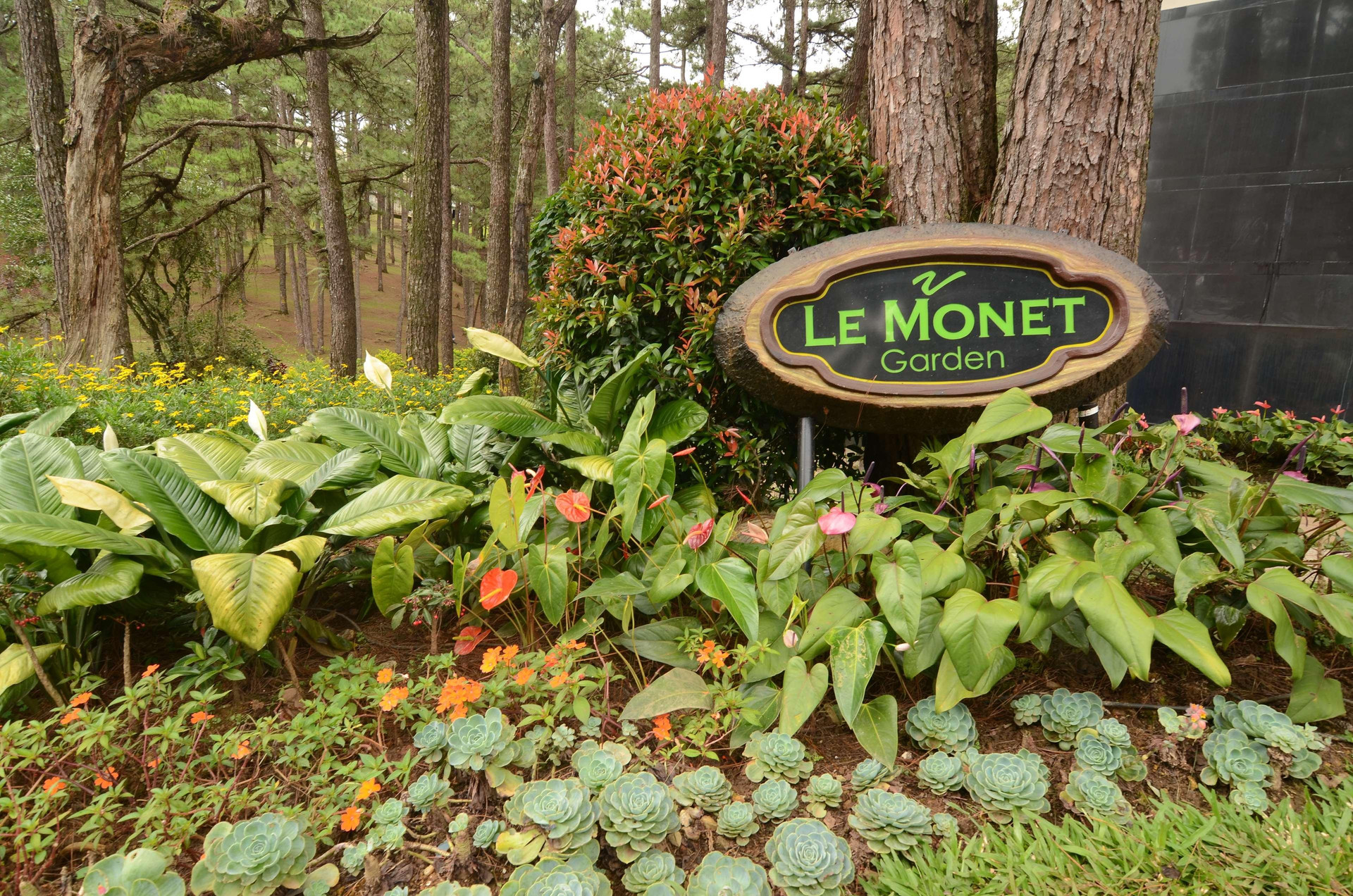Vista Exterior Le Monet Hotel