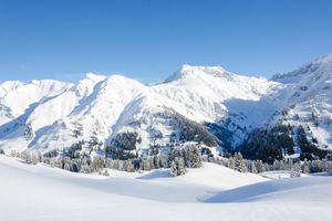 Alojamiento - Hotel Anemone