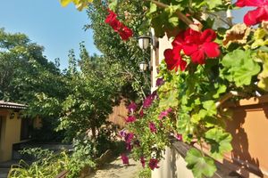 Alojamiento - B&B Casa Mica Guesthouse