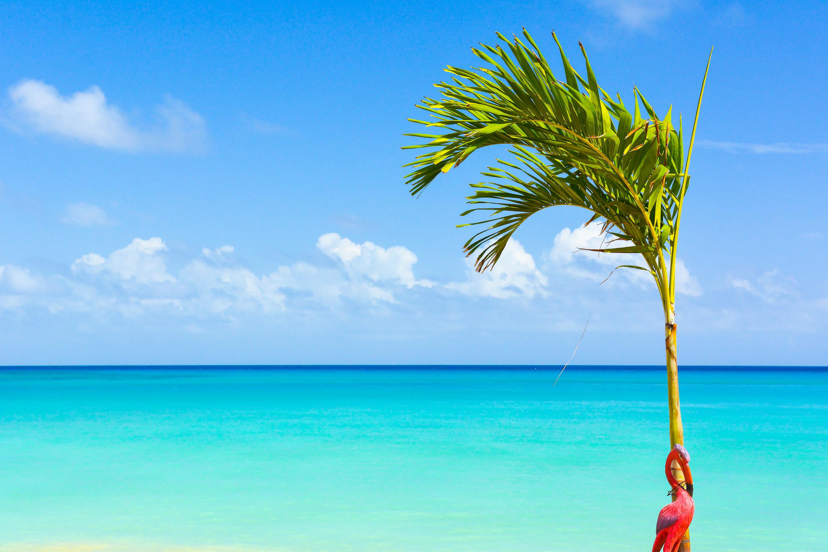 Vista Exterior Sand And Tan