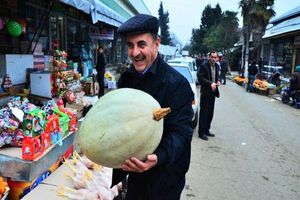 Actividad - Excursión de día completo a Lankaran y Astara