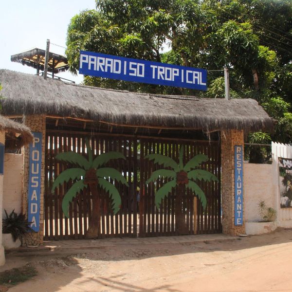 Paradiso Tropical