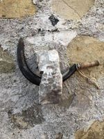 Alojamiento - Agriturismo le Cammarose