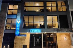 Alojamiento - Hotel HVD Inn Cabecera
